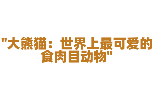 "大熊猫：世界上最可爱的食肉目动物"
